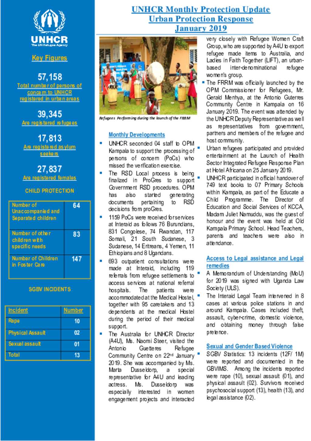 Document Urban Protection Monthly Thematic Report January 2019