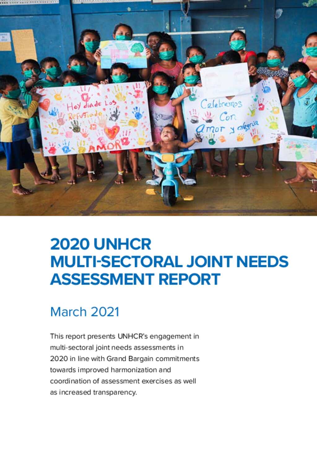 Document 2020 UNHCR Multisectoral Joint Needs Assessment Report