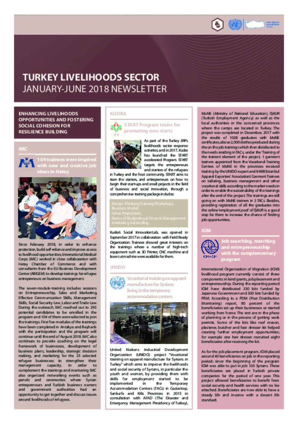 Document Turkey Livelihoods Sector Newsletter January June 18