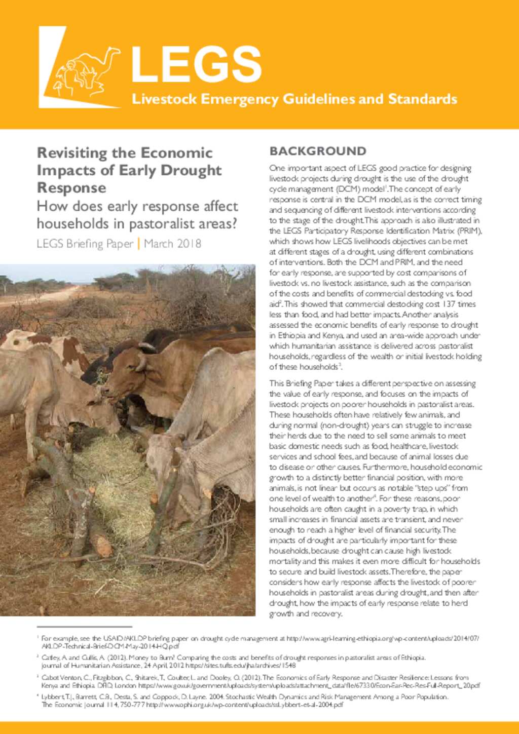 Document title Document title