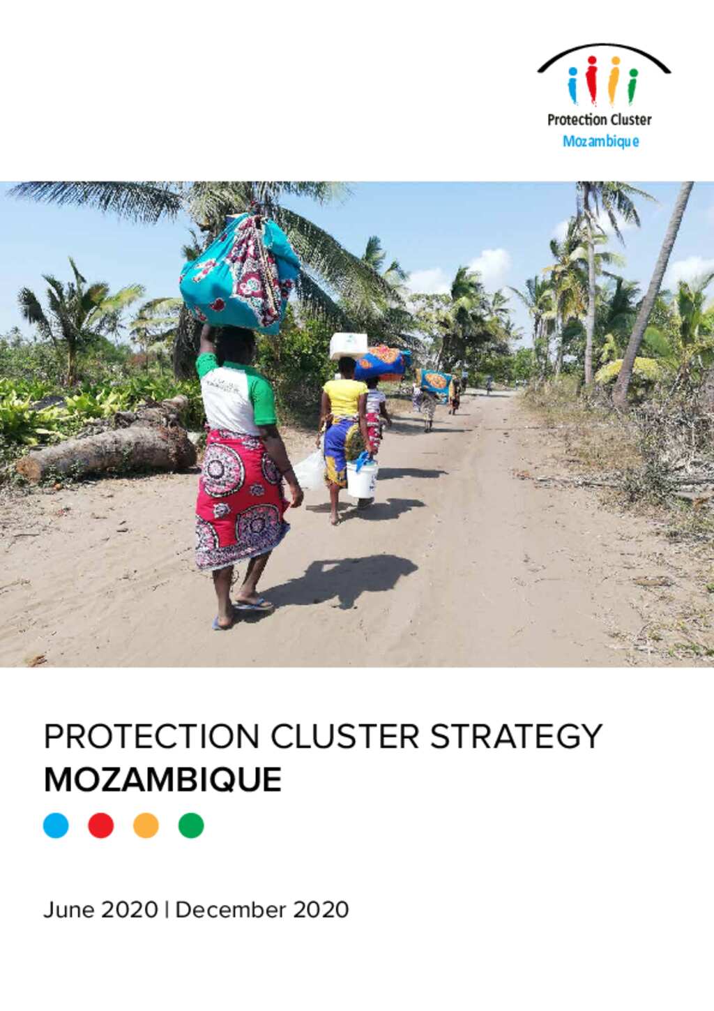 Document - Global Protection Cluster Mozambique Chalane Dec 2020