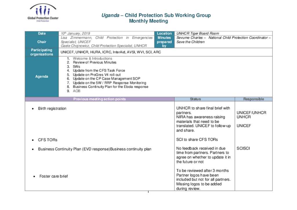 Document Minutes Of Meeting Child Protection Sub Working Group 