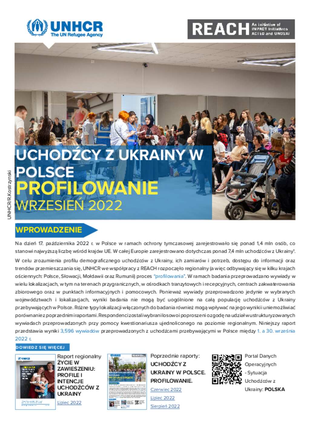 Document Uchodźcy Z Ukrainy W Polsce Profilowanie Wrzesień 2022 3269