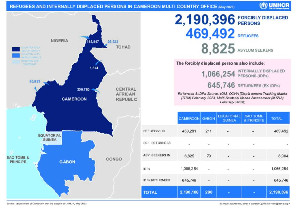 emergency travel document cameroon