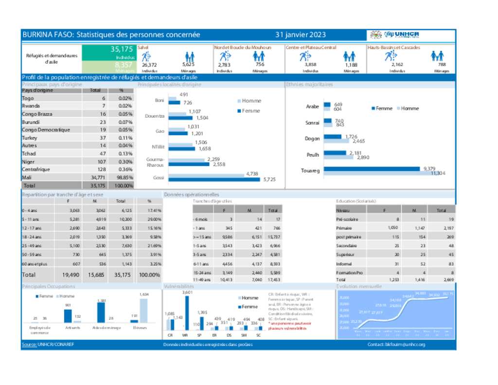 Document - BFA_Rapport statistique des refugies_Jan2023