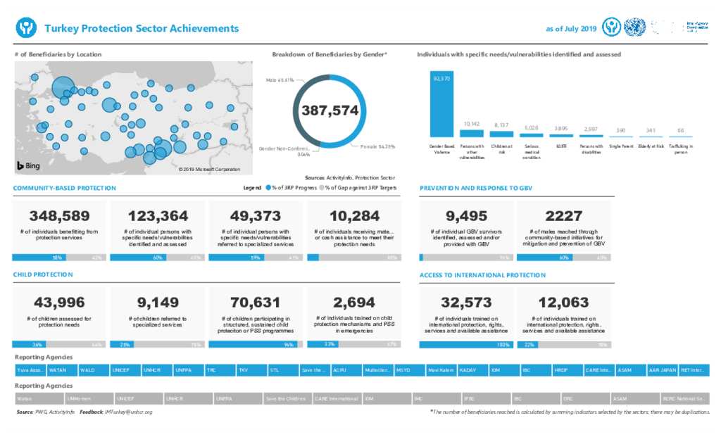 Document - Turkey Protection Sector Dashboard - July 2019