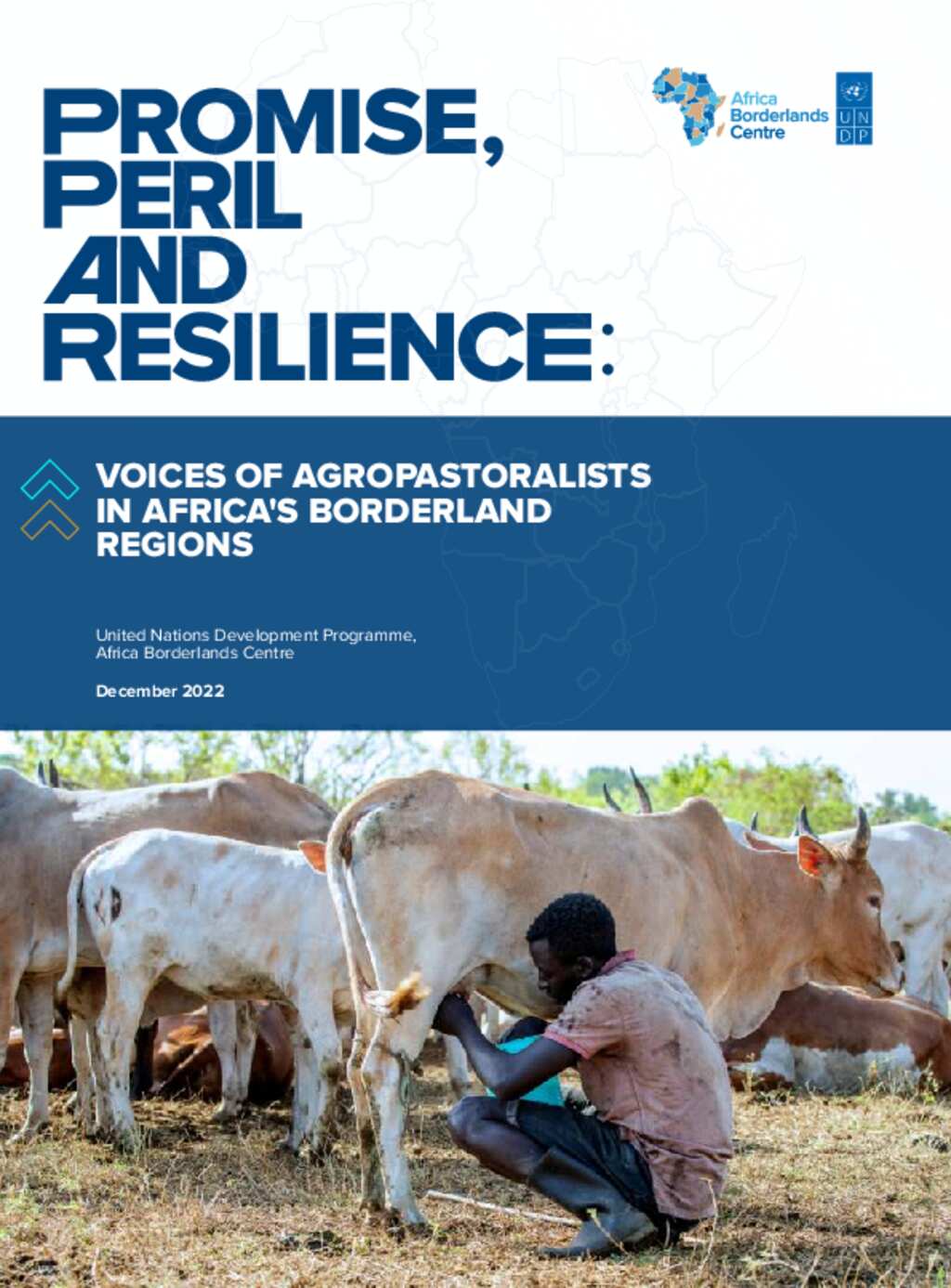 Document - UNDP - Promise, Peril and Resilience: Voices of ...