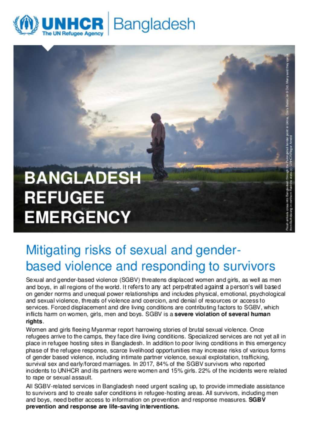 document-bangladesh-refugee-emergency-mitigating-risks-of-sexual