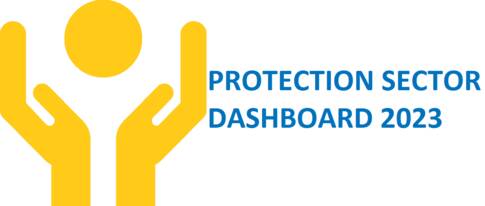 PROTECTION SECTOR DASHBOARD 