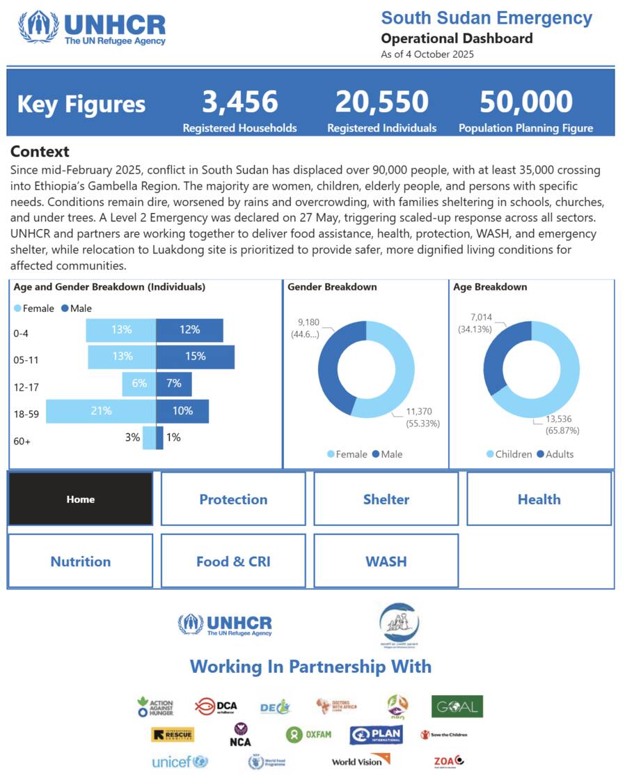 South Sudan Emergency, Gambella - Sectors' progress